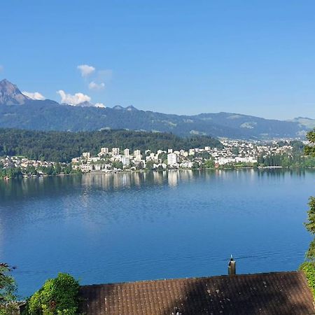 Queen Home Lucerne Extérieur photo