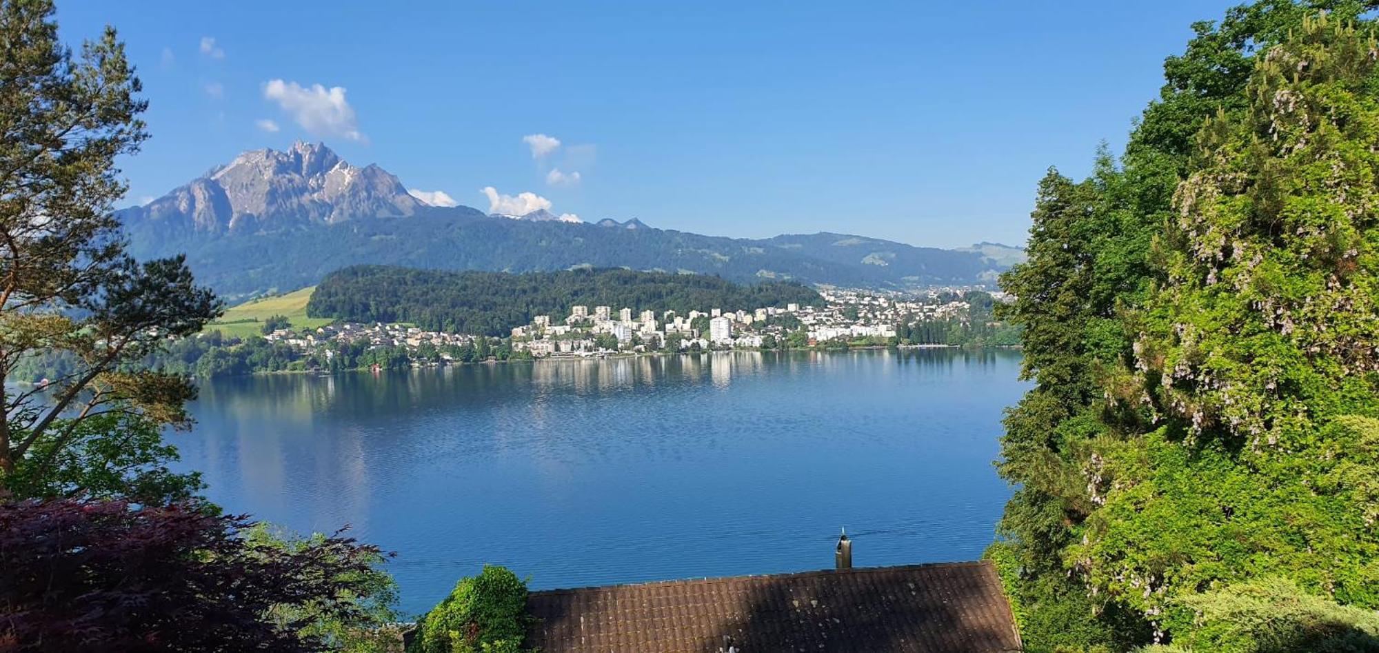 Queen Home Lucerne Extérieur photo