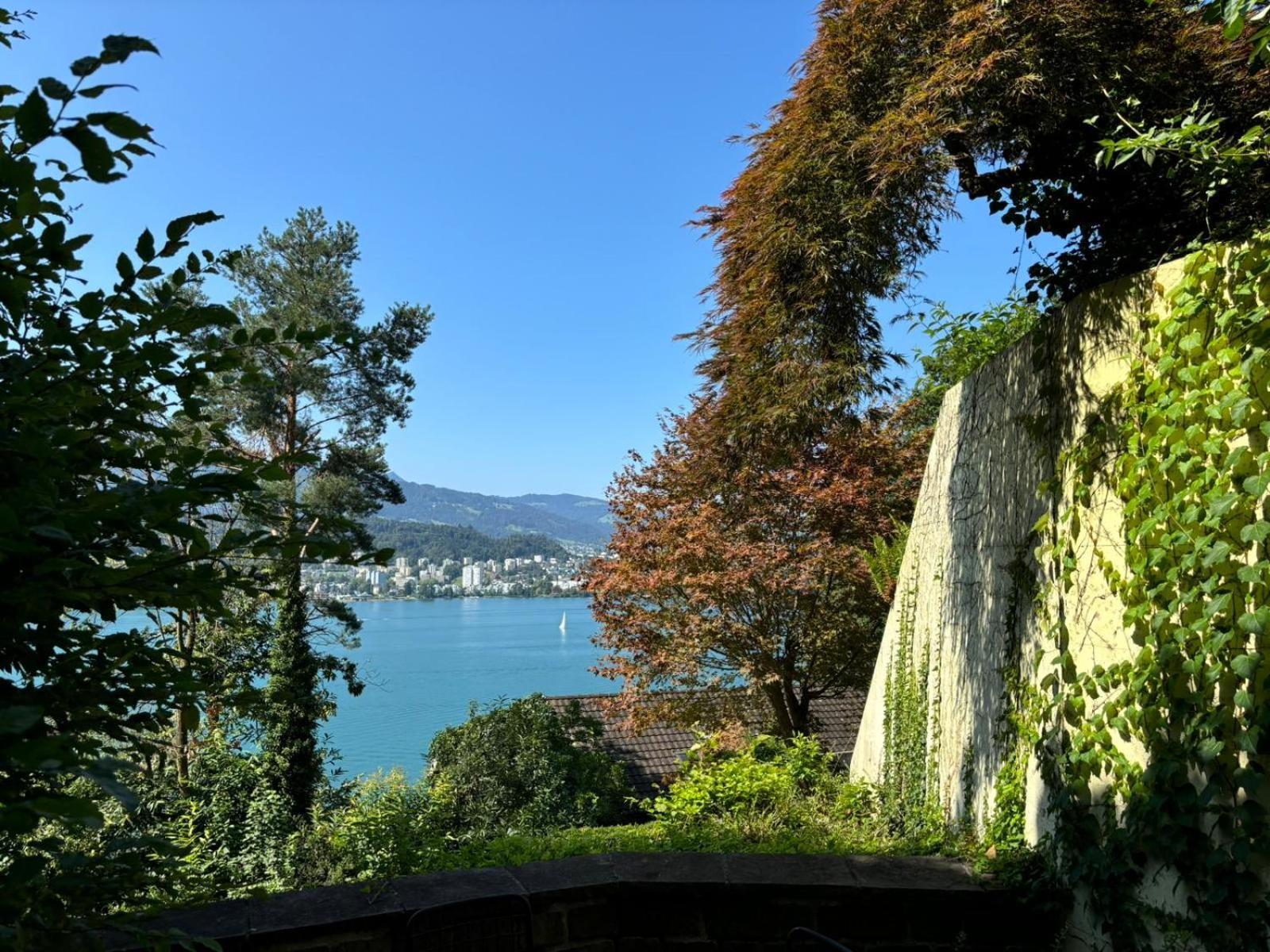 Queen Home Lucerne Extérieur photo